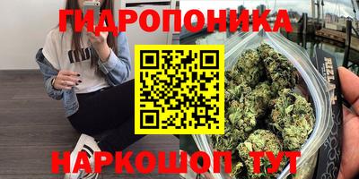 mdpv Кандалакша