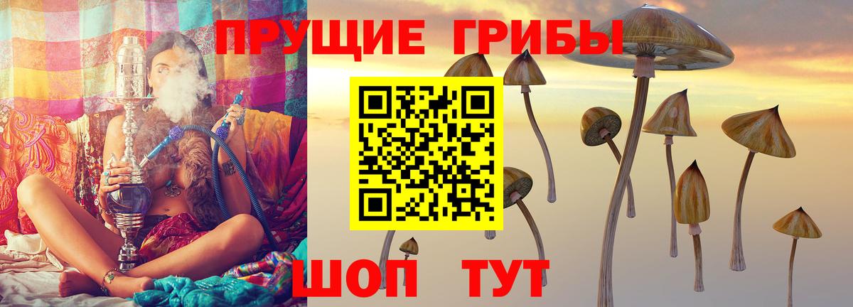 Псилоцибиновые грибы GOLDEN TEACHER Георгиевск