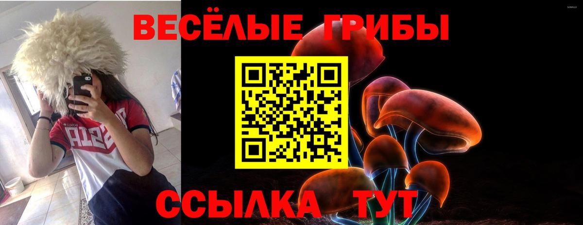 Георгиевск  Галлюциногенные грибы Cubensis  Вход с VPN 