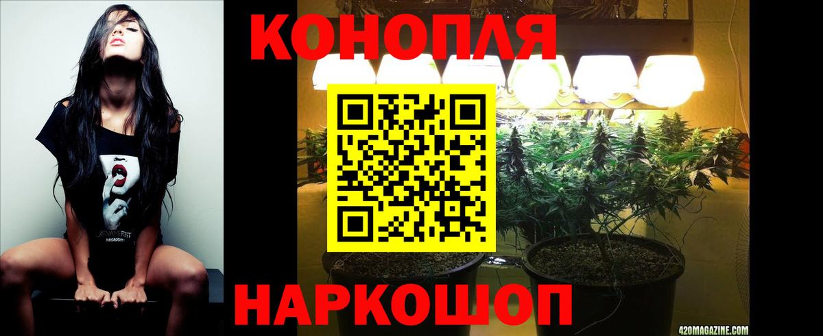 Канабис ГИДРОПОН Георгиевск